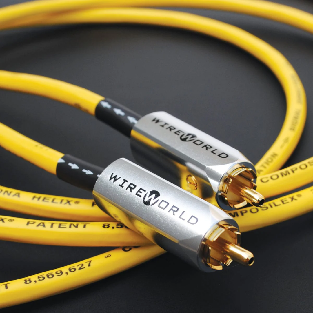 Chroma 10-DIgital Coaxial (4)