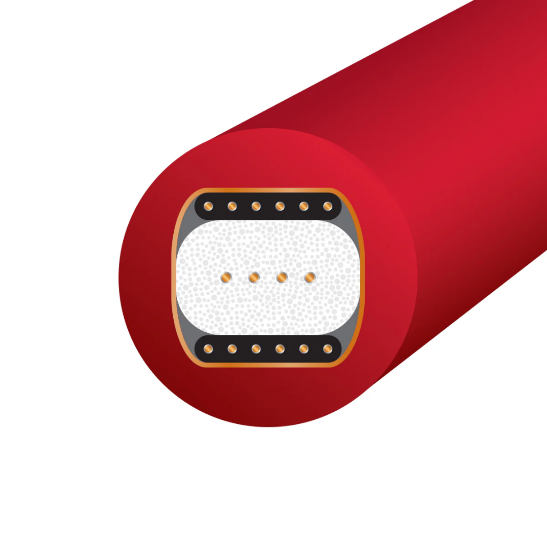 Starlight 10-Digital Coaxial (3)