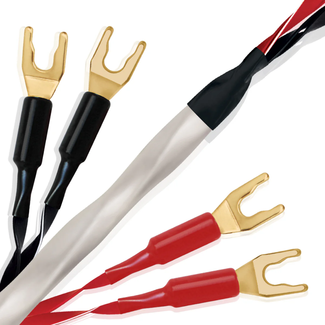 Solstice 10-Speaker Cable (2)