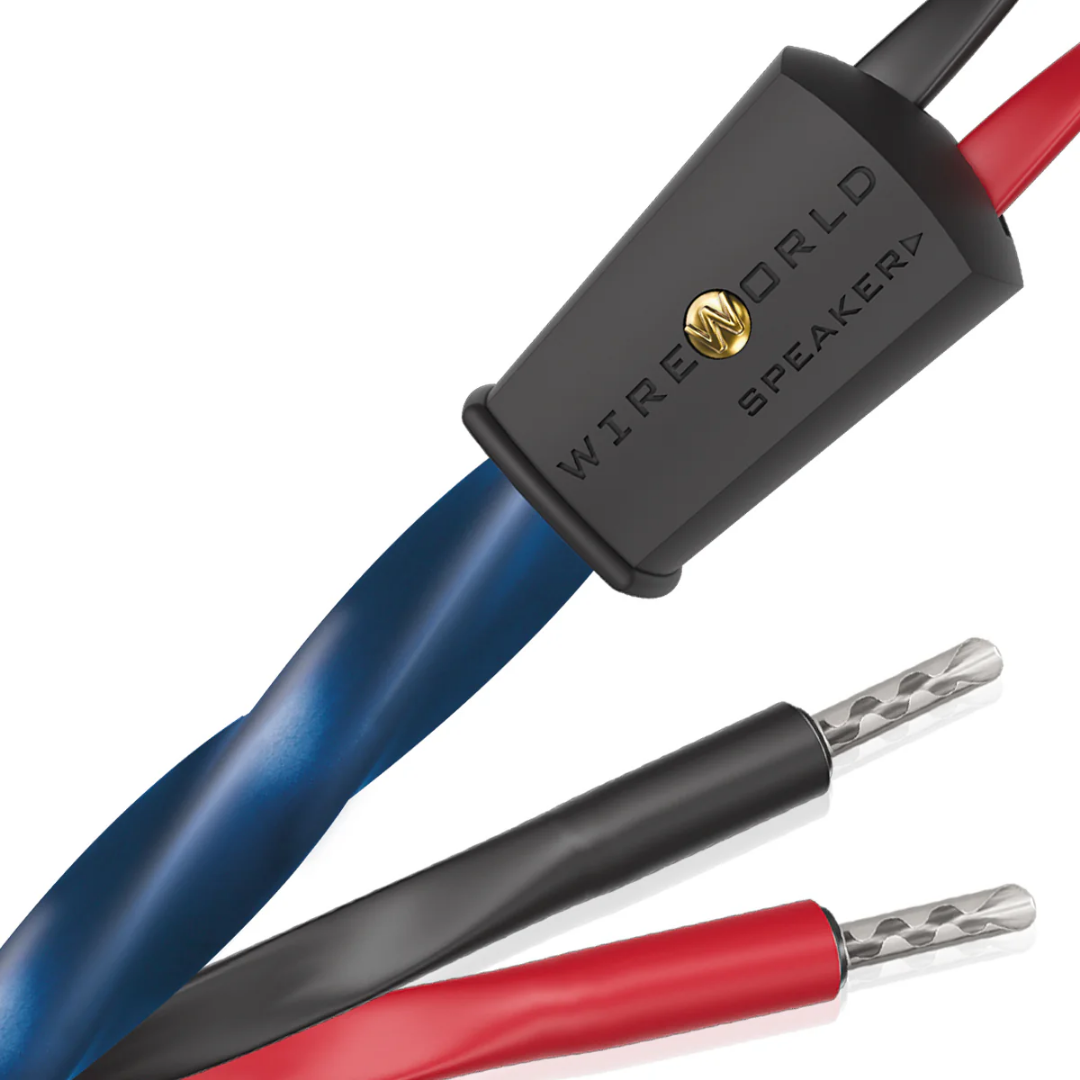Oasis 10-Speaker Cable