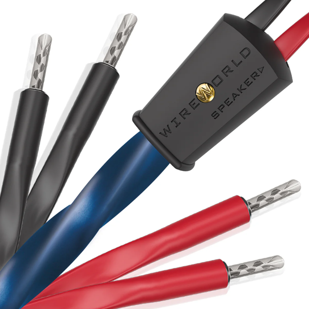 Oasis 10-Speaker Cable (2)