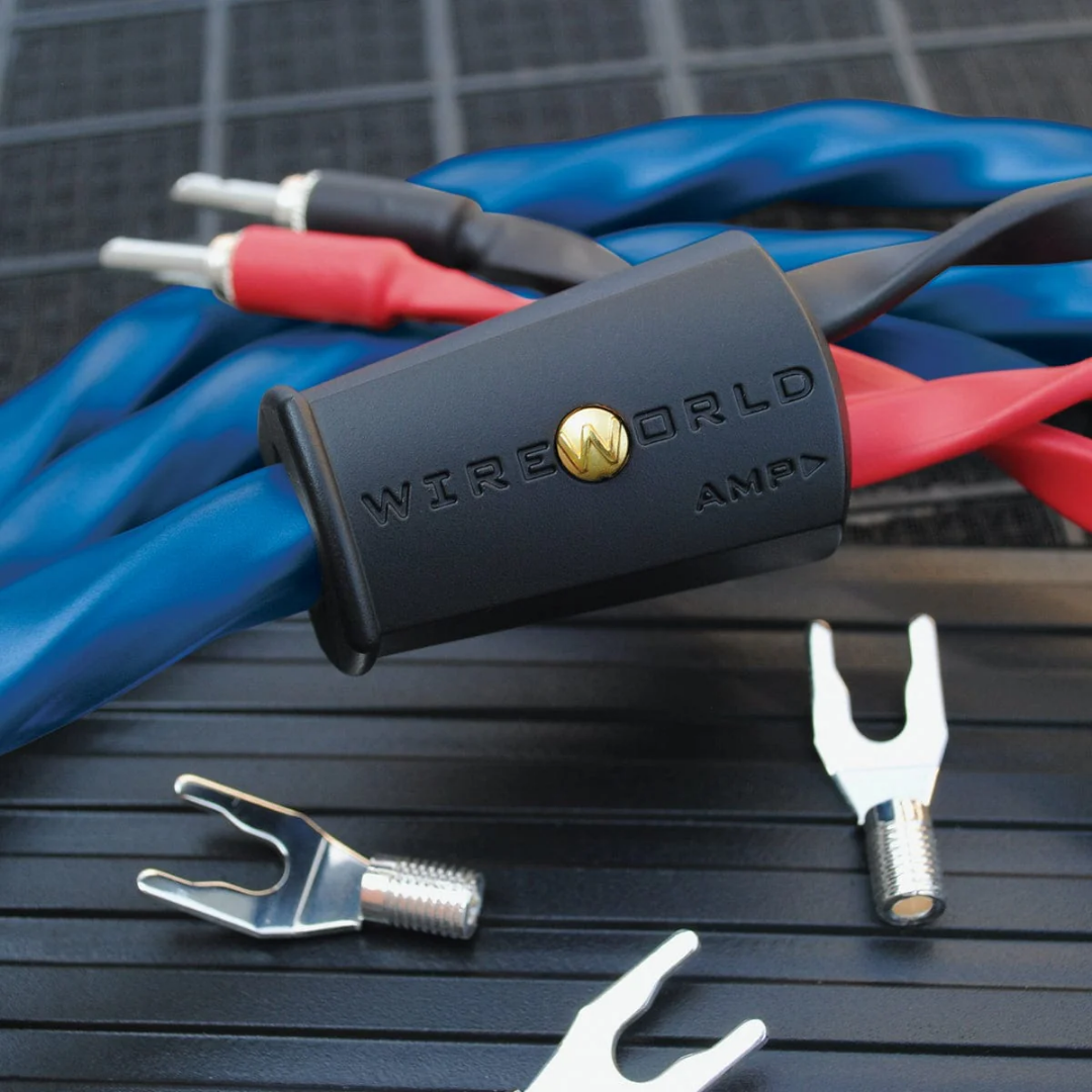 Oasis 10-Speaker Cable (6)