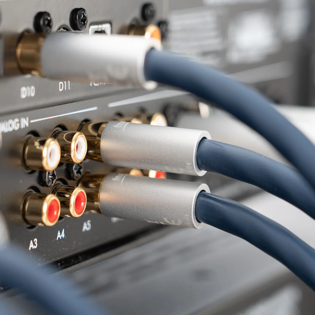 S25 Connect 212 Audio _ RCA (5)