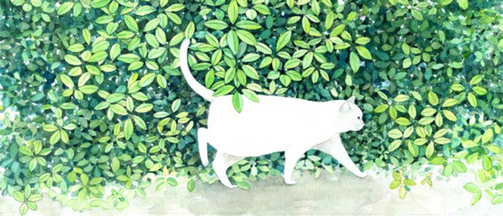 認識我們，認識TAIVEES