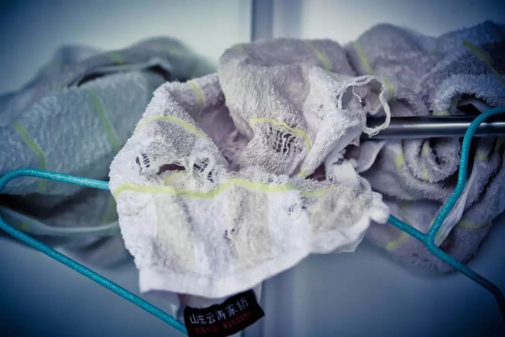 讓我們一起拒絕塵蟎的侵襲