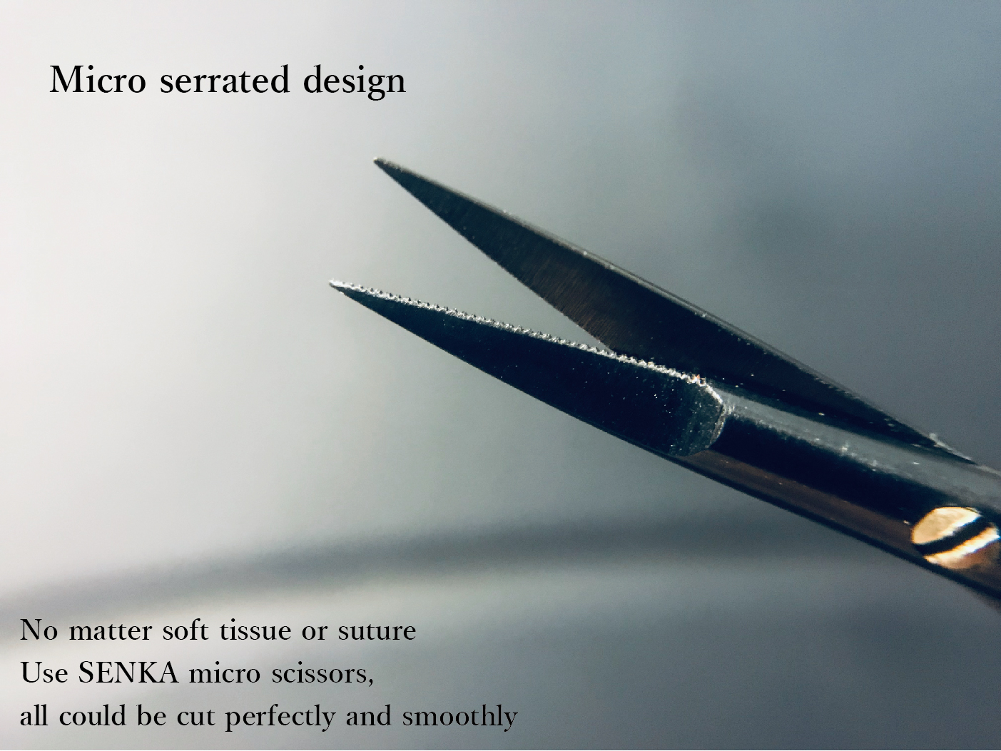 Micro Scissor content-03.jpg