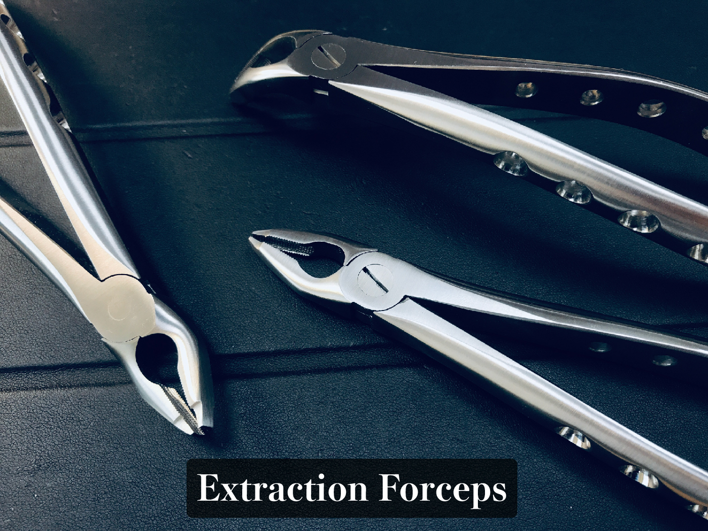 extraction forceps content_工作區域 1