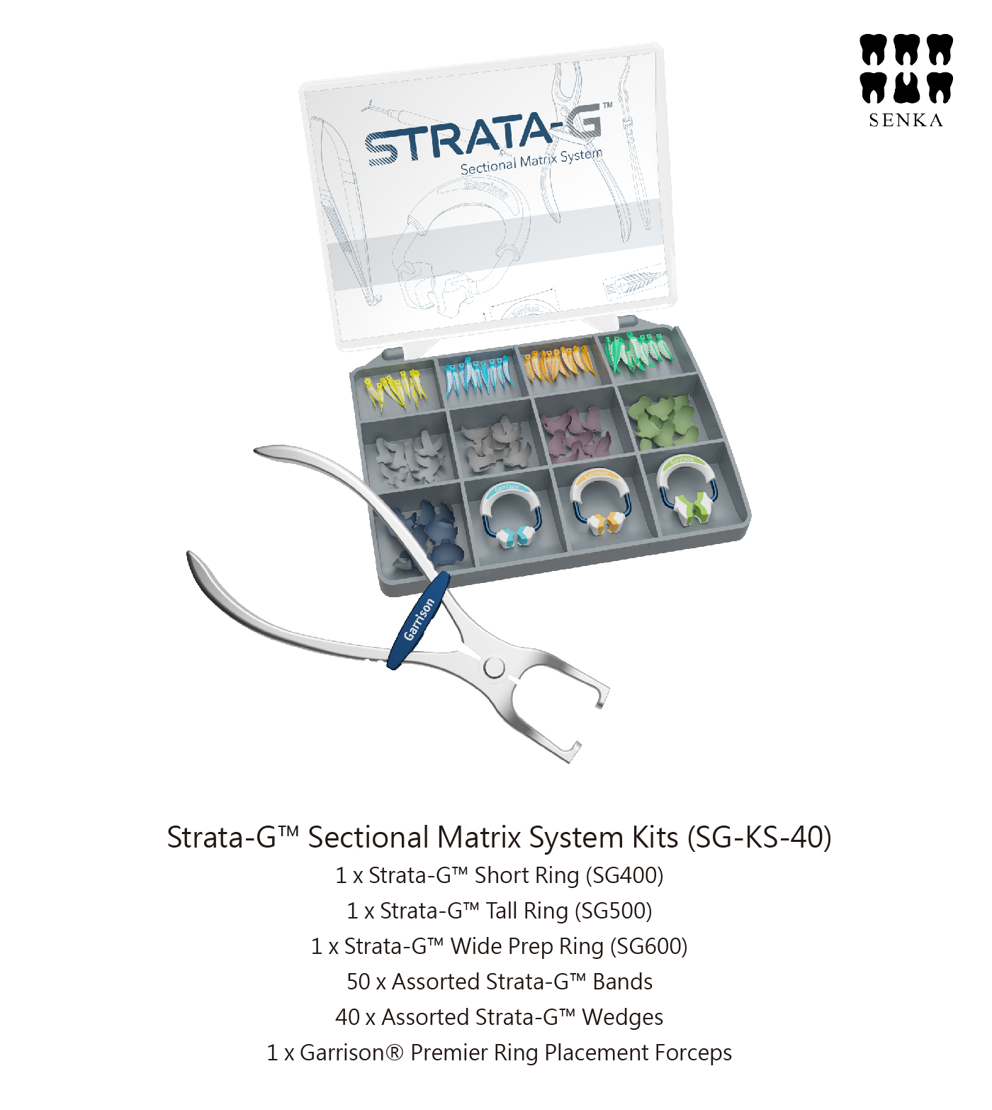 STRATA-G content-08