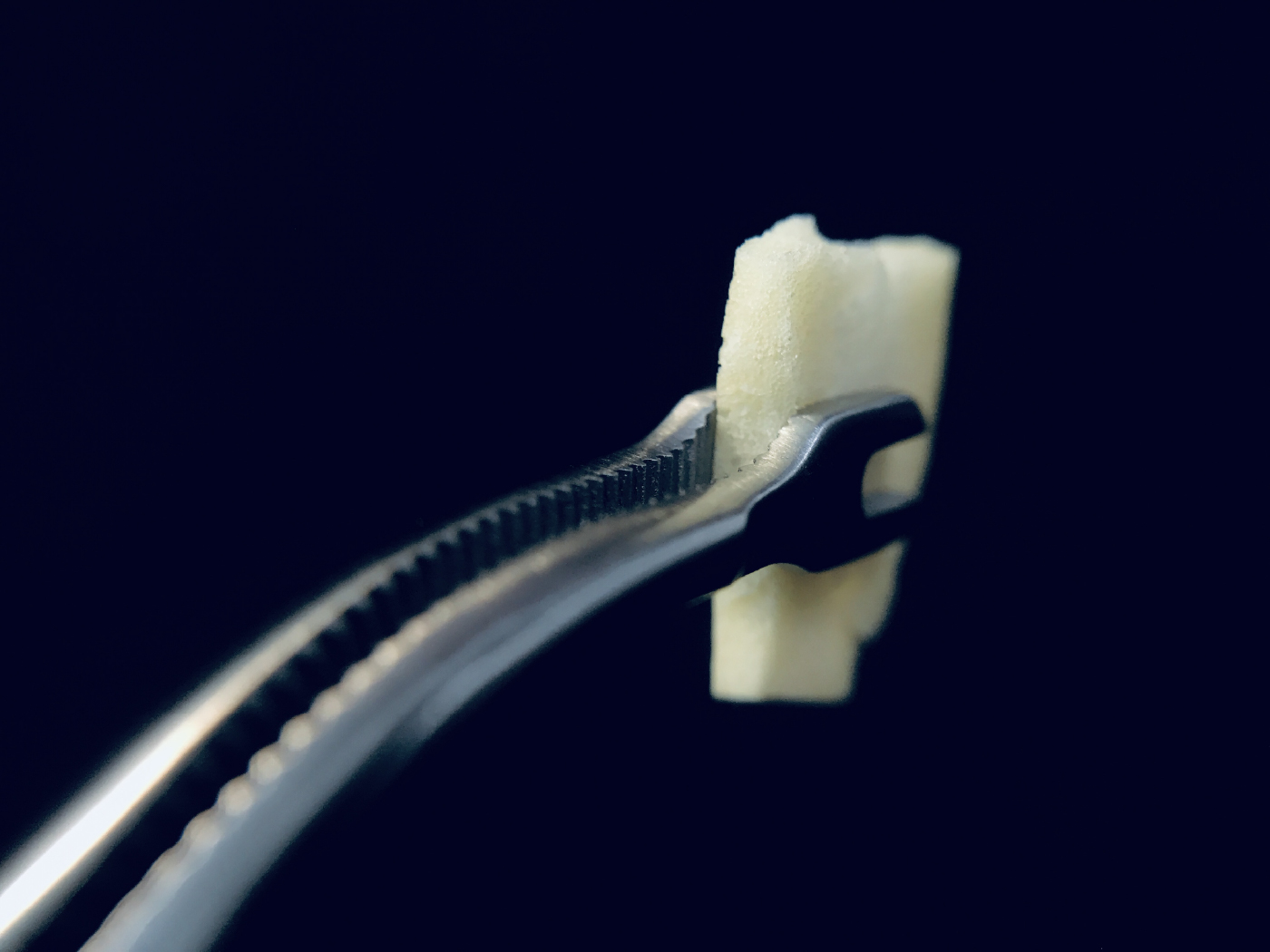 Bone Holding Forceps content-05