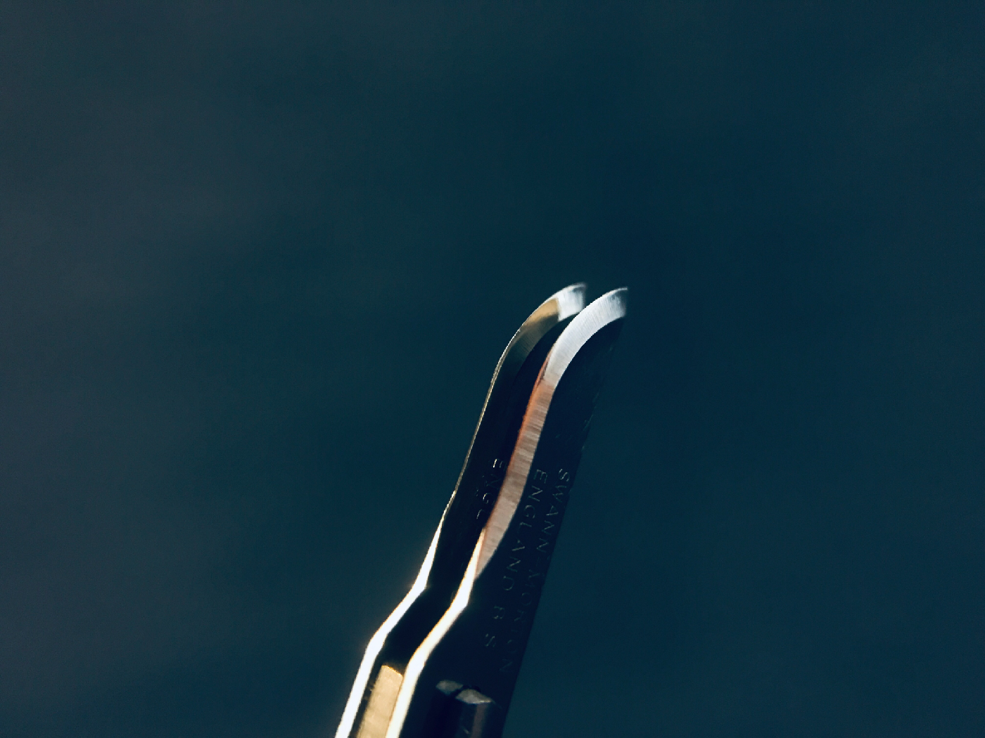 double blade holder content-04