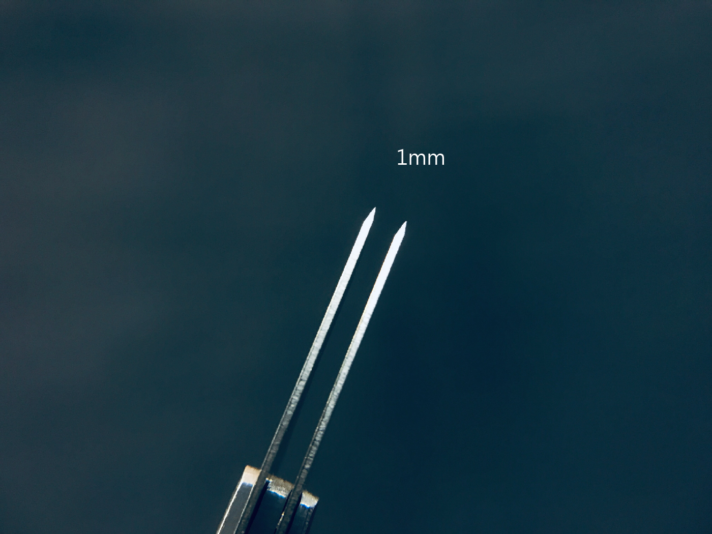 double blade holder content-03