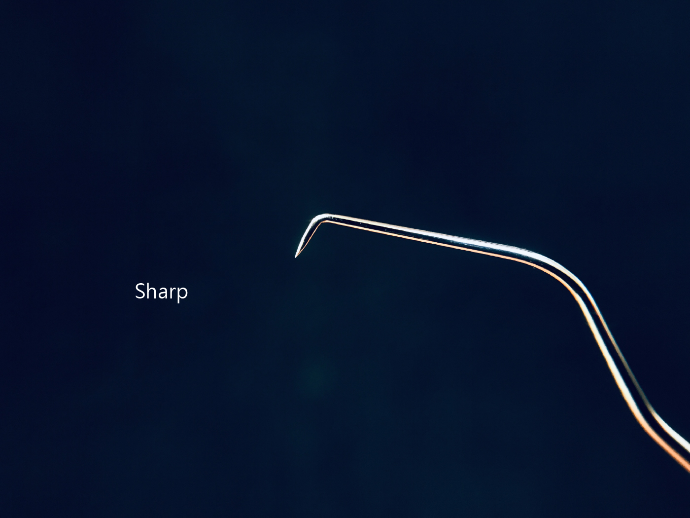 Endo Explorer 整頓-01