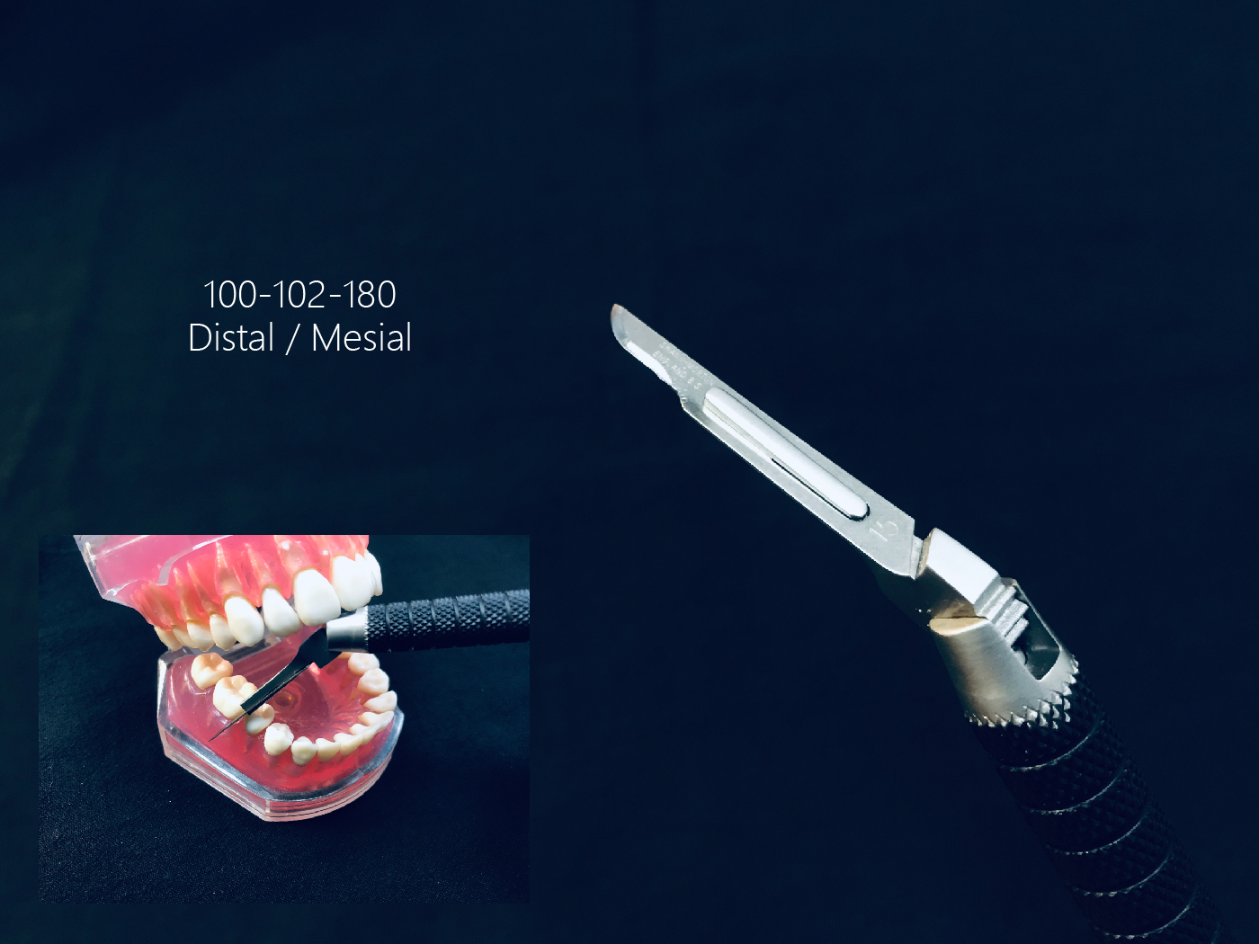 rotated blade holder content-05