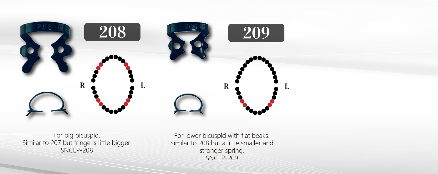 Bicuspid Clamps 整頓3