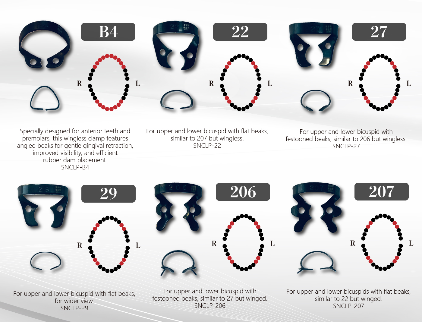 Bicuspid Clamps 整頓2