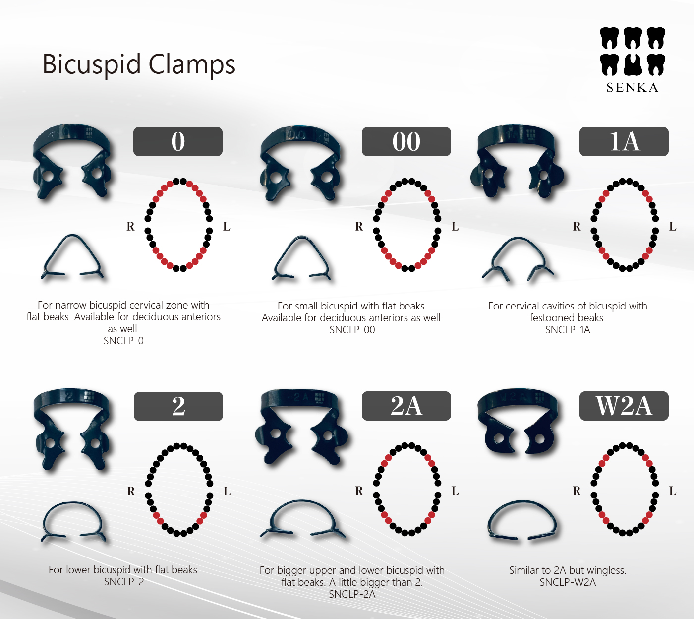 Bicuspid Clamps 整頓1_工作區域 1
