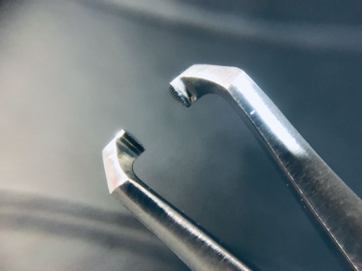 Universal Forcep Content-02.jpg