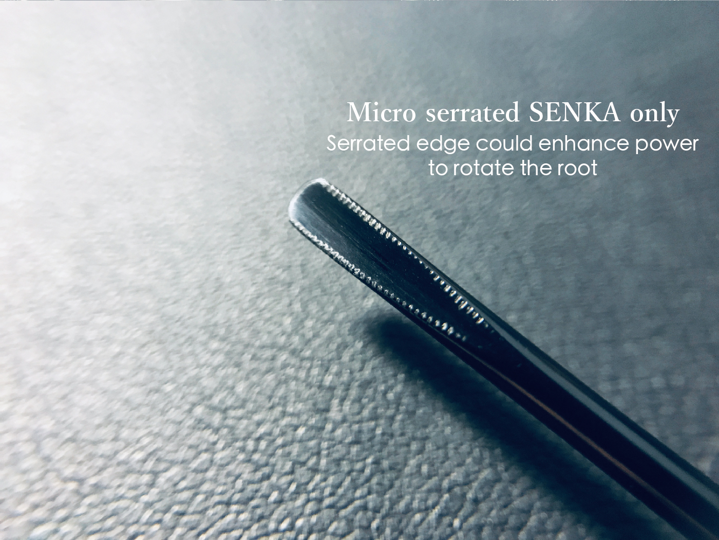 P Elevator kit content-03.jpg