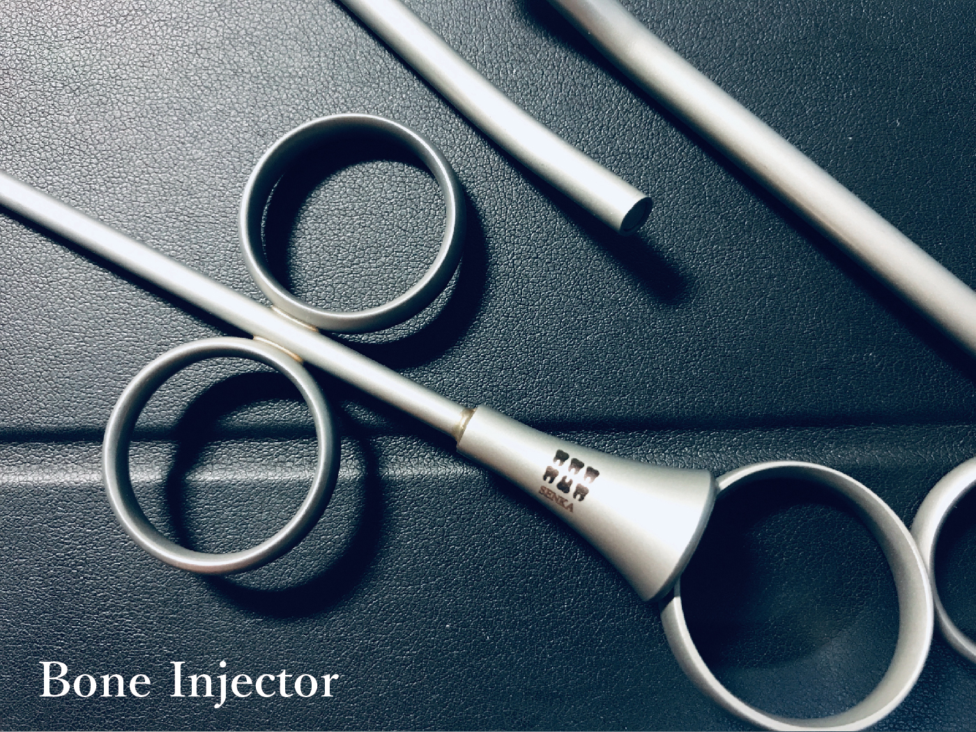 Bone Injector content_工作區域 1.jpg