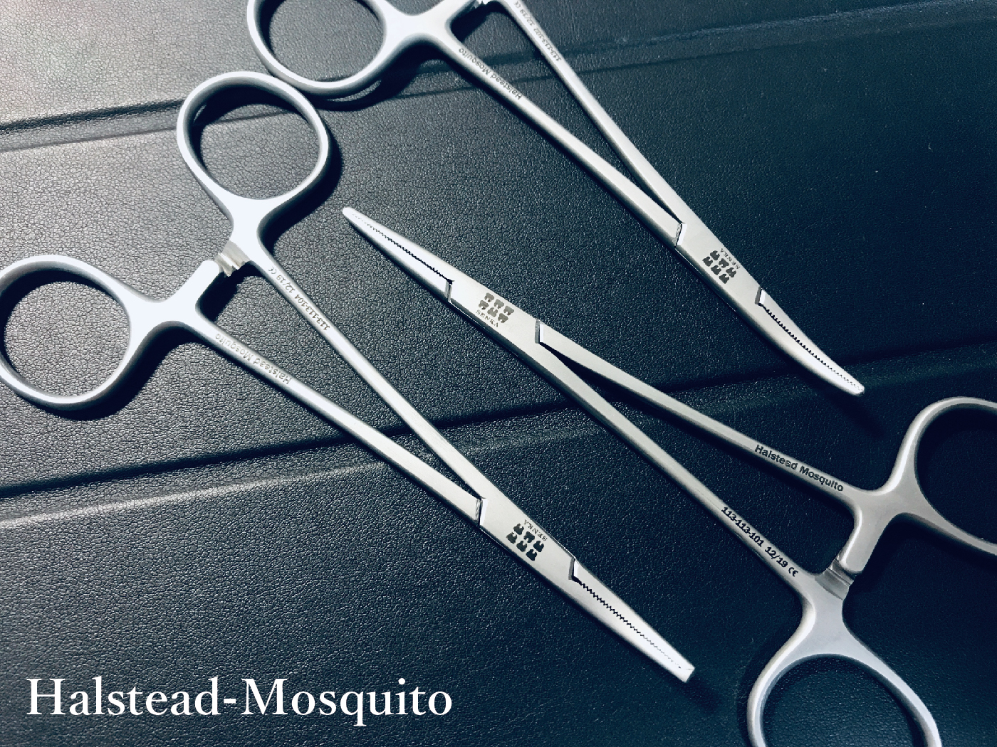 Halstead-Mosquito content_工作區域 1.jpg