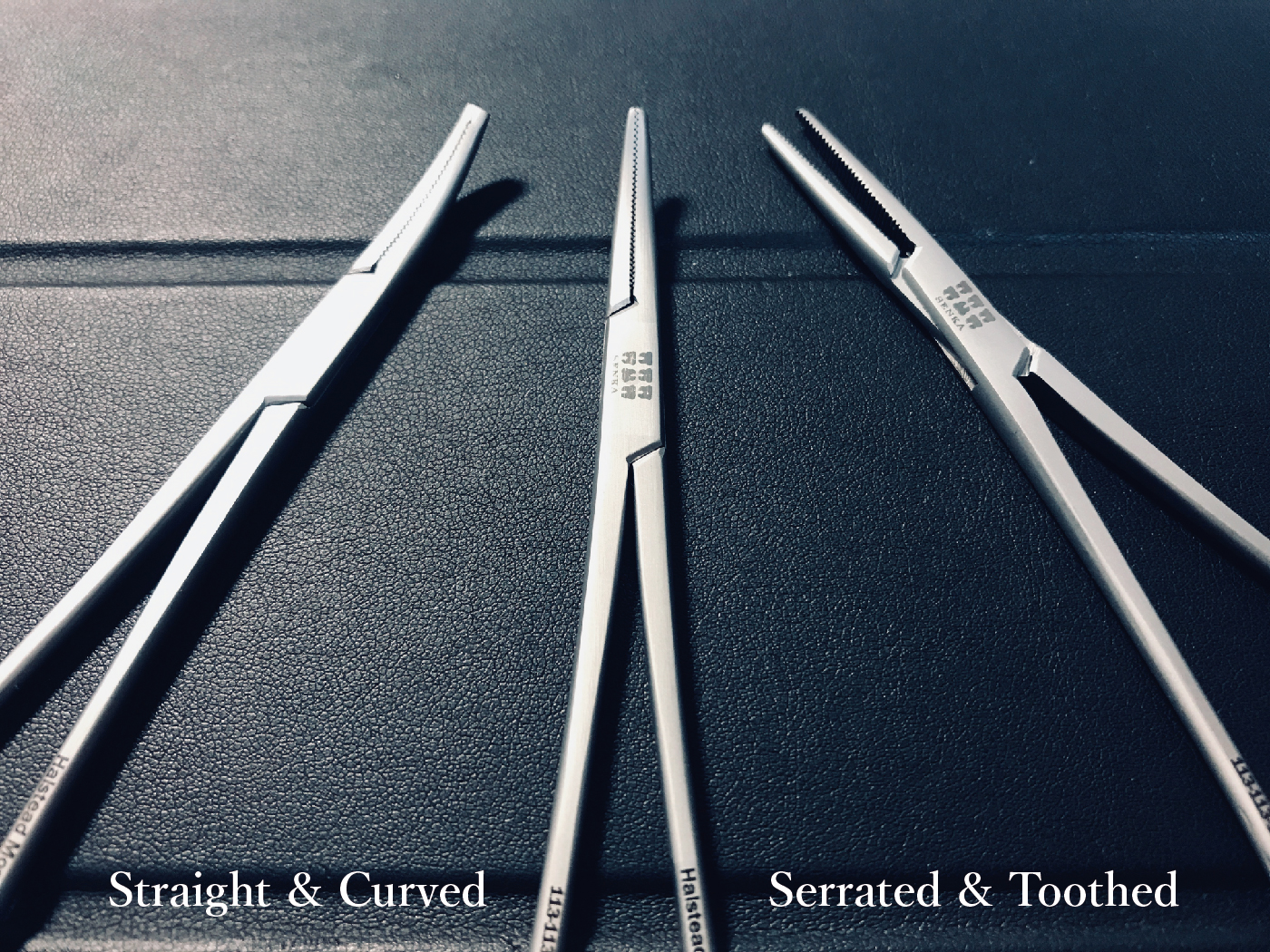 Halstead-Mosquito content-02.jpg