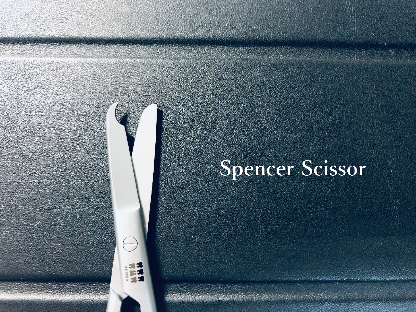 Spencer content_工作區域 1.jpg