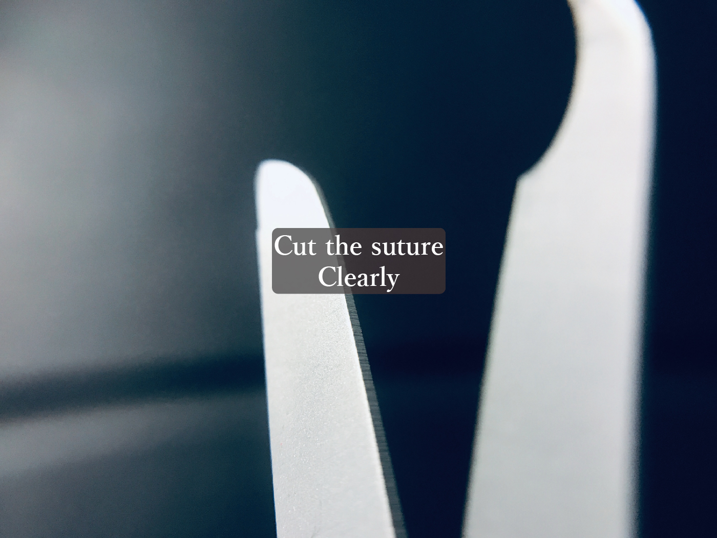 Spencer content-04.jpg