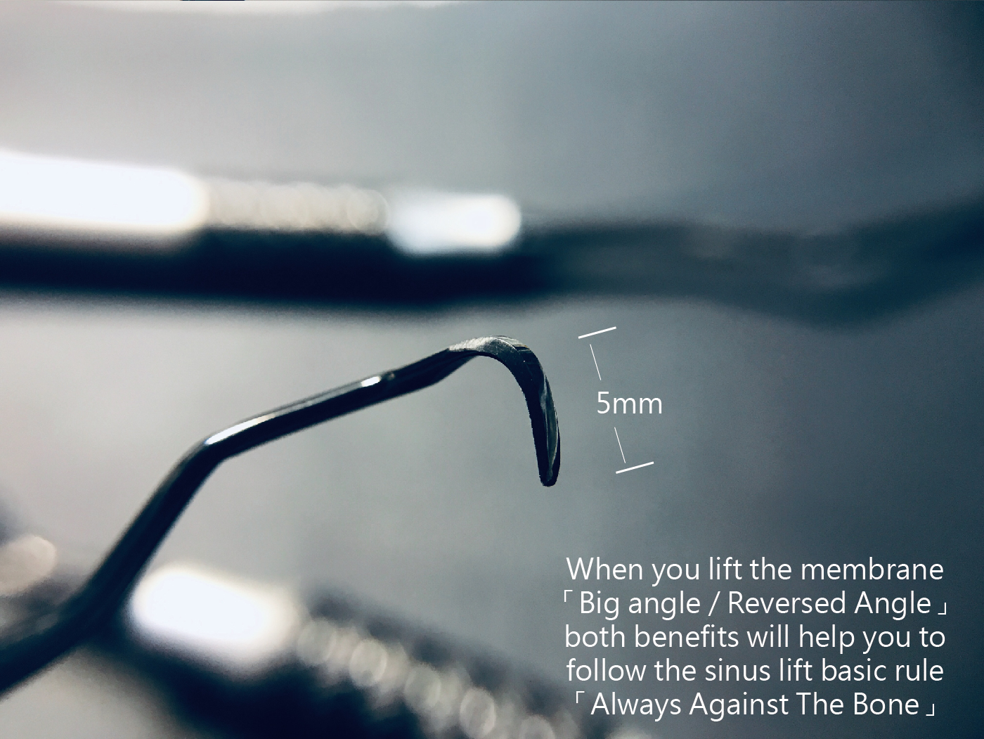 CT Sinus content-07.jpg