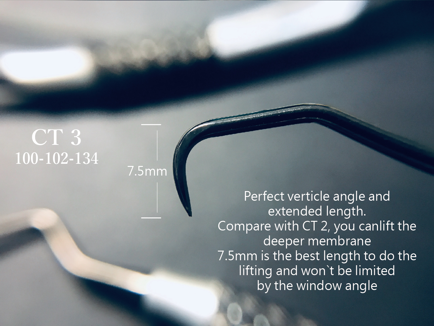 CT Sinus content-08.jpg