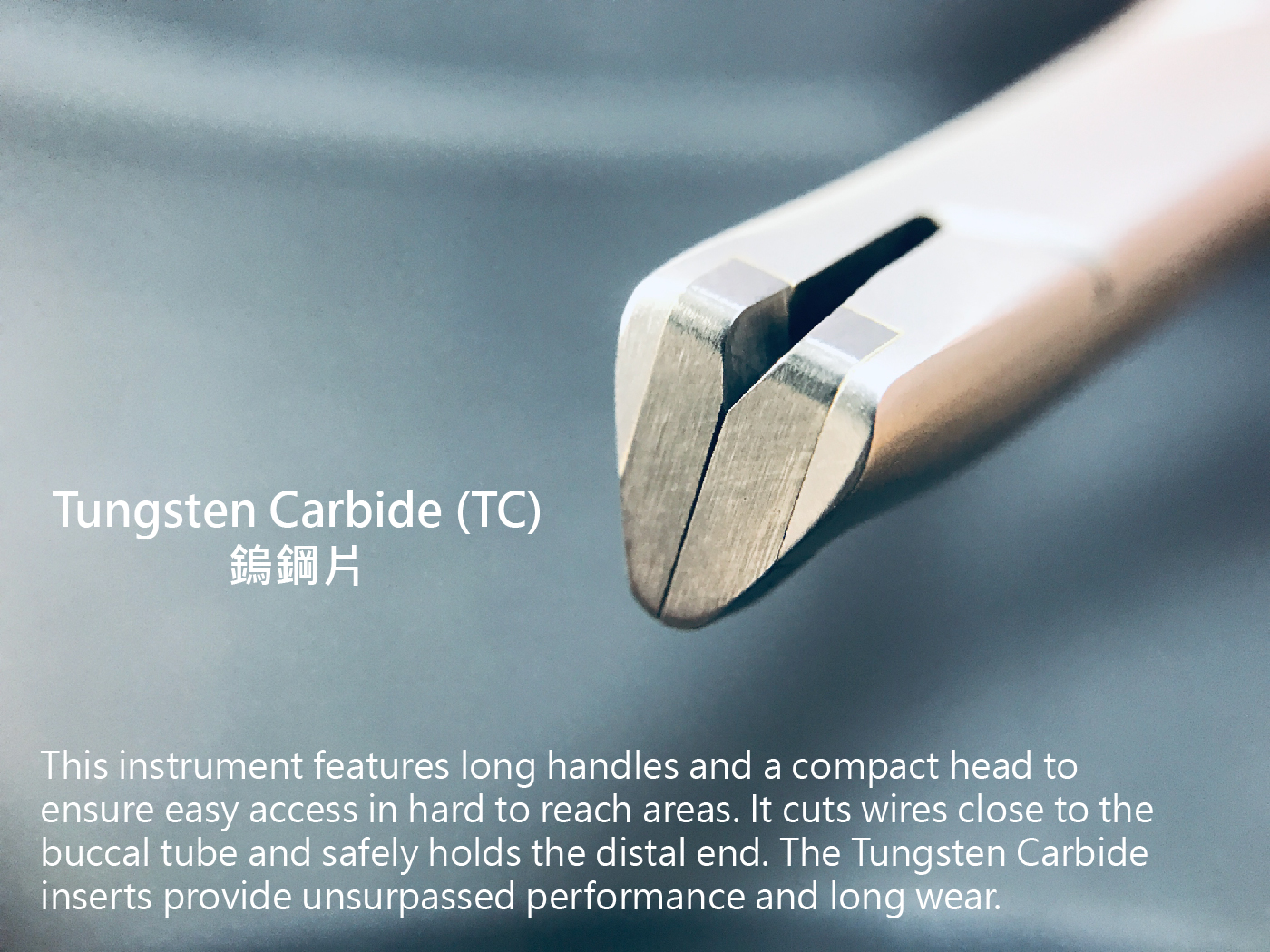 SNCT-02 整頓-02.jpg