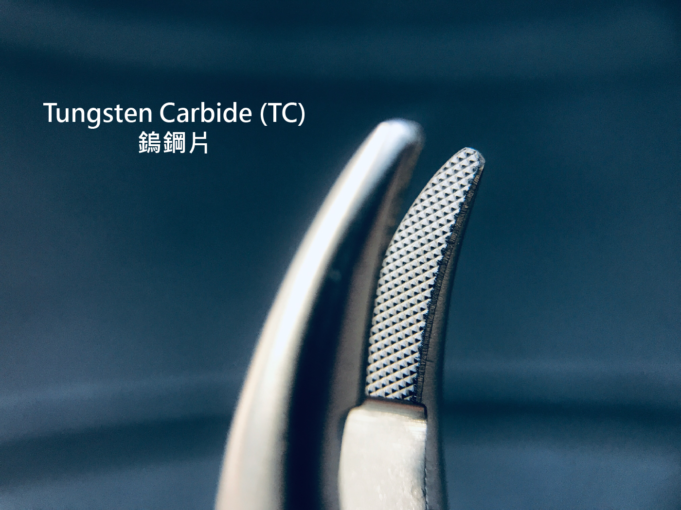 SNUP-02TC 整頓-02.jpg