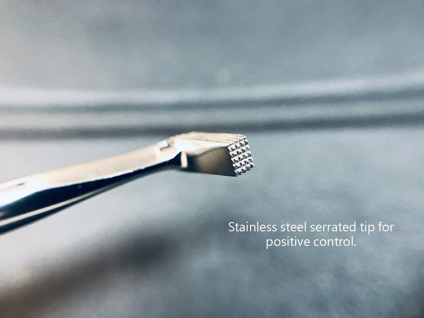 SNHH-15 16 整頓-02.jpg