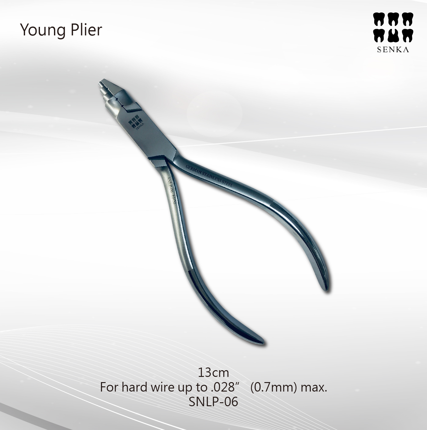 SNLP-06 整頓-04.jpg