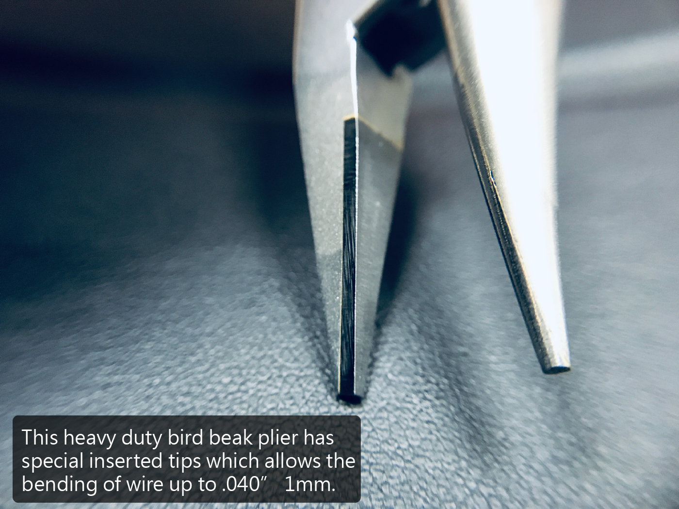 SNLP-13 整頓-02.jpg