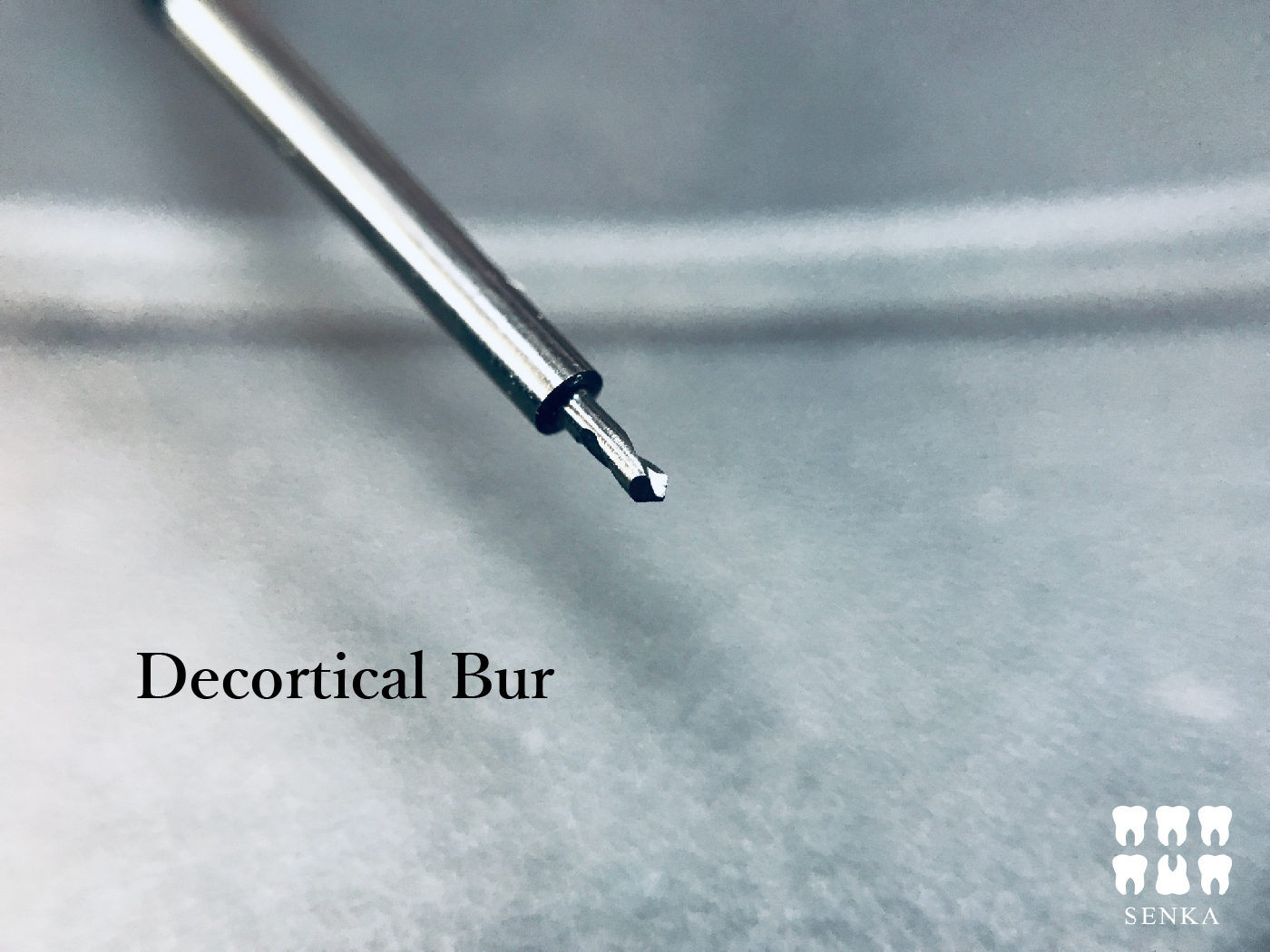 decortical content_工作區域 1.jpg