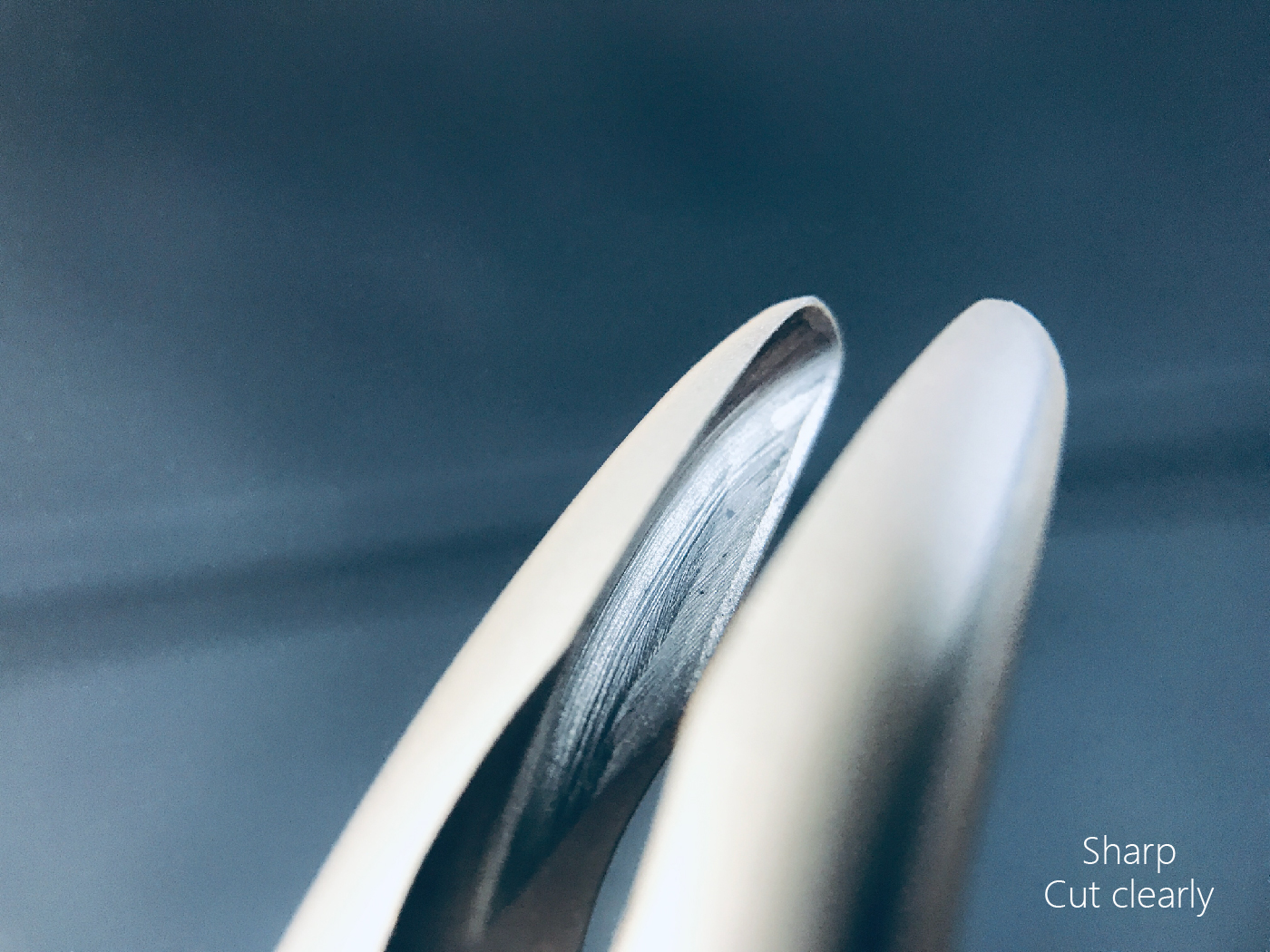 bone rongeur content-03.jpg