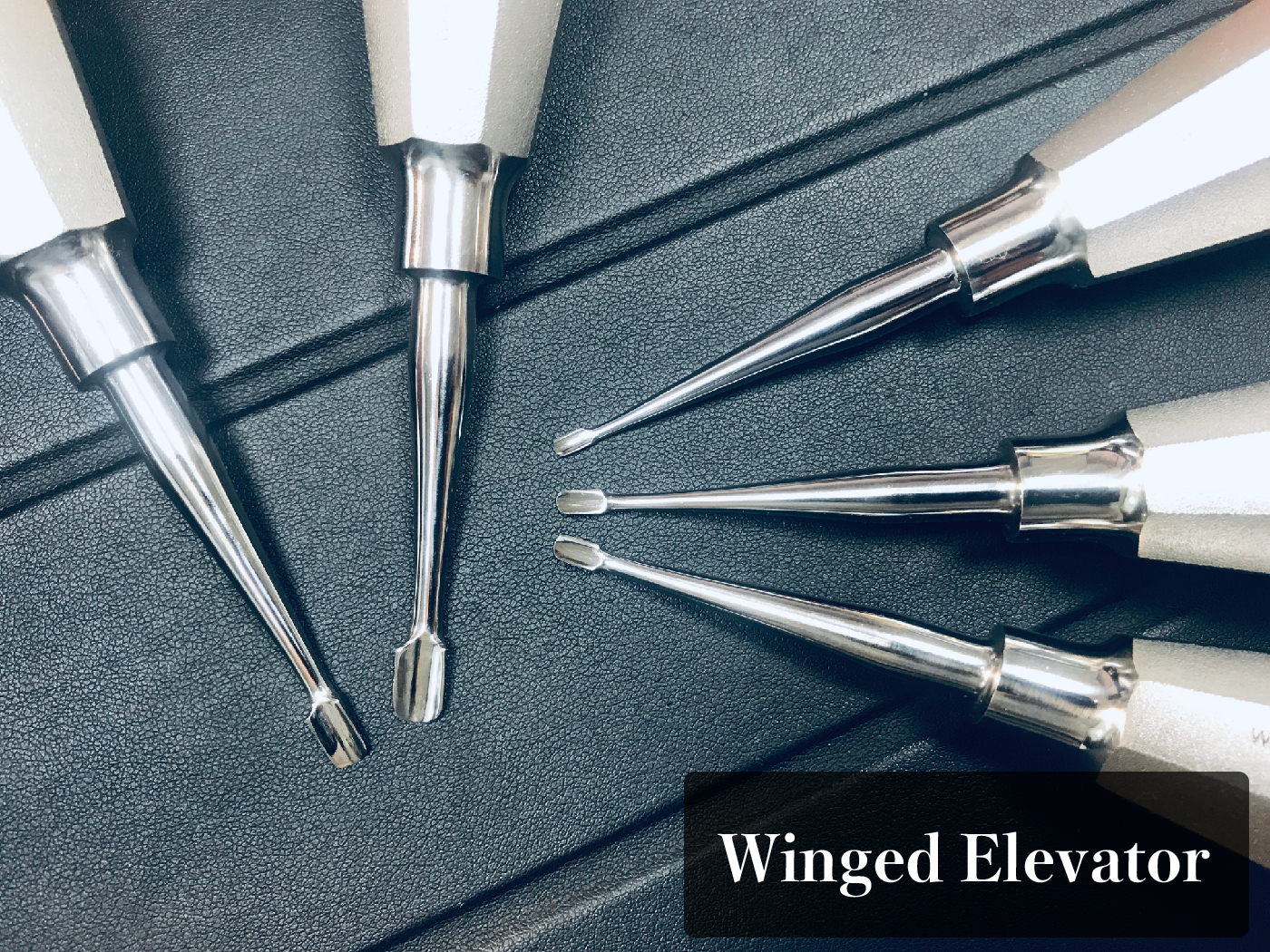 winged elevator content_工作區域 1.jpg