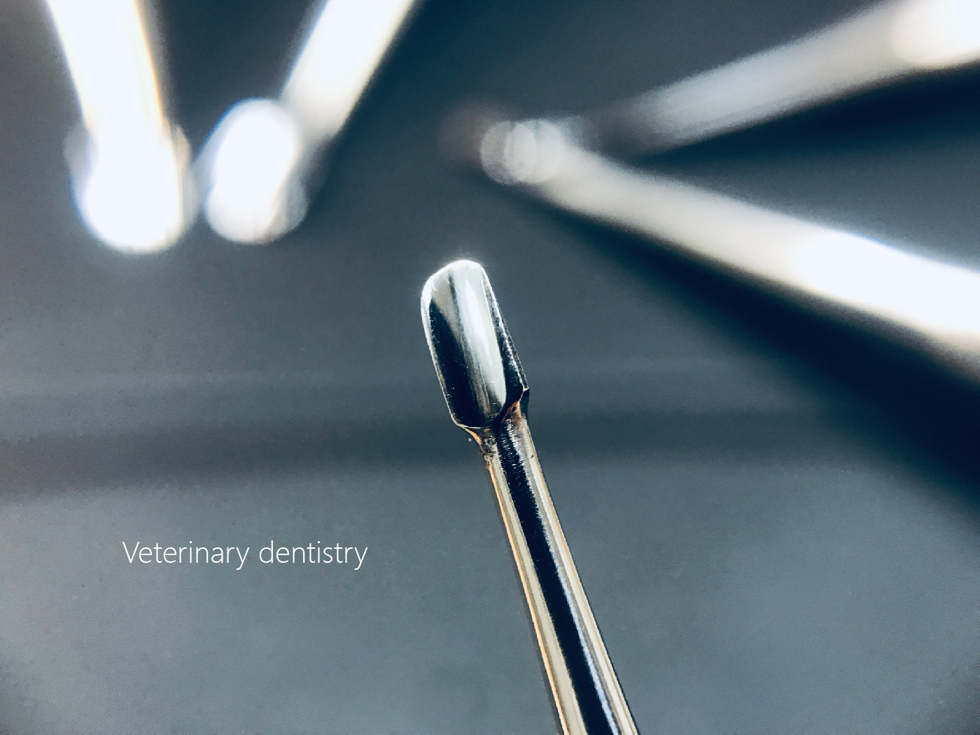 winged elevator content-02.jpg