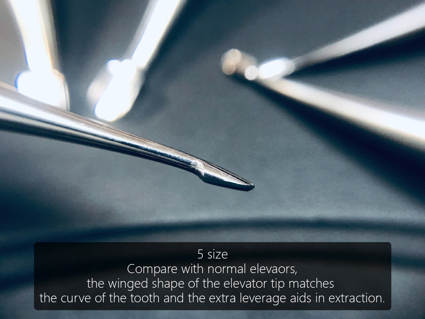 winged elevator content-03.jpg