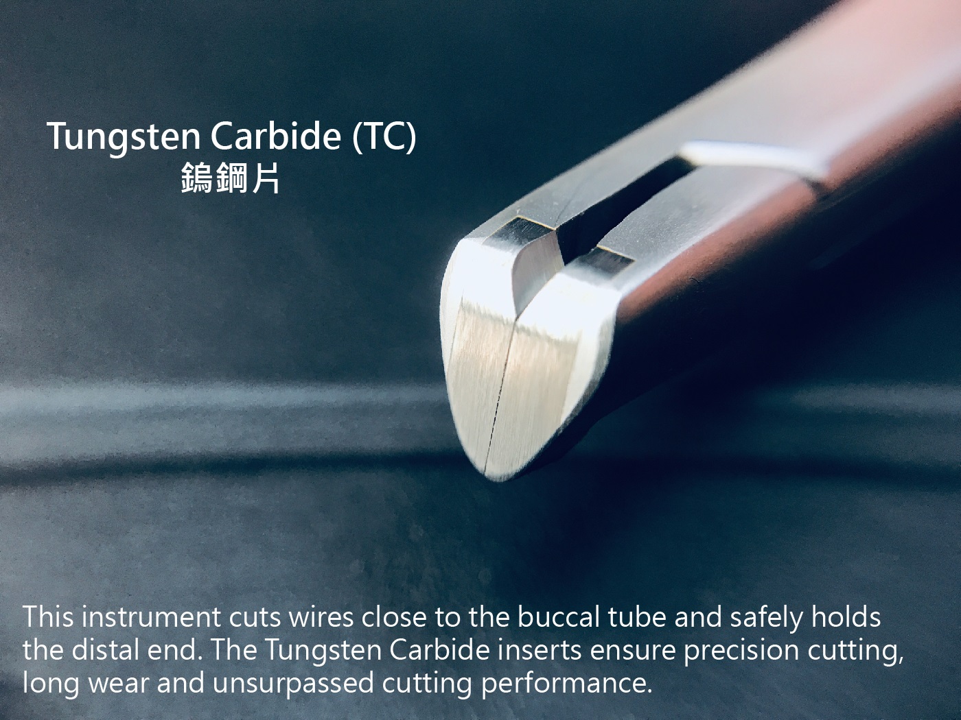 SNCT-01 整頓-02.jpg
