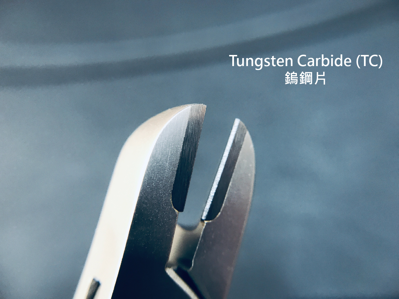 SNCT-04 整頓-02.jpg