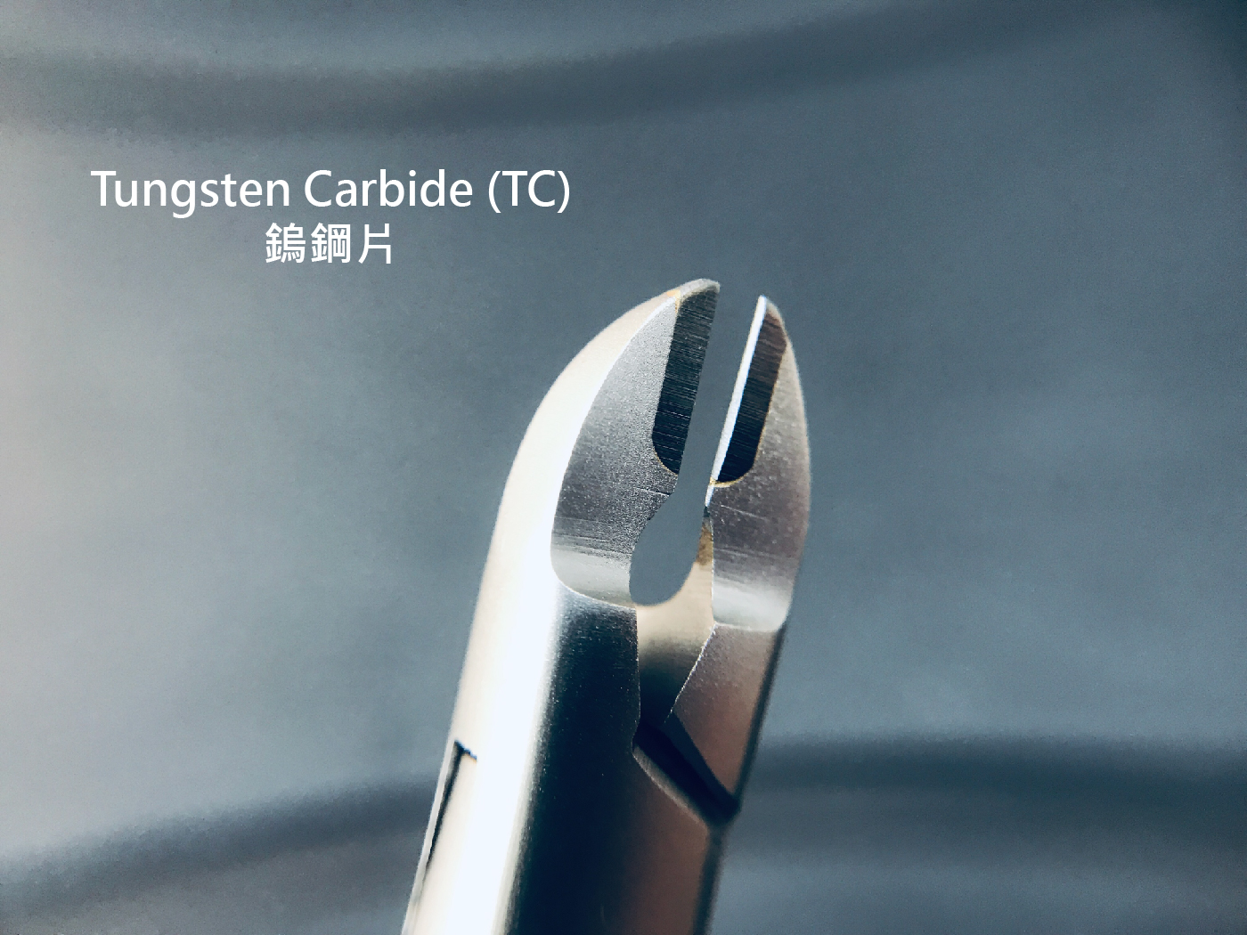 SNCT-09 整頓-02.jpg