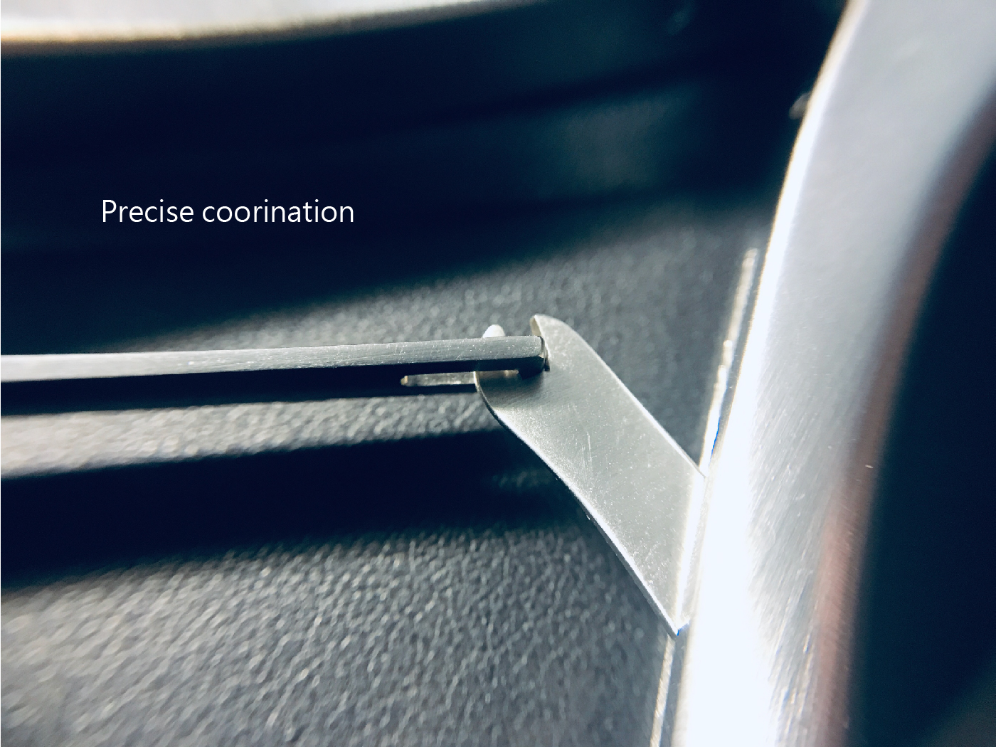 shortnose content-03.jpg