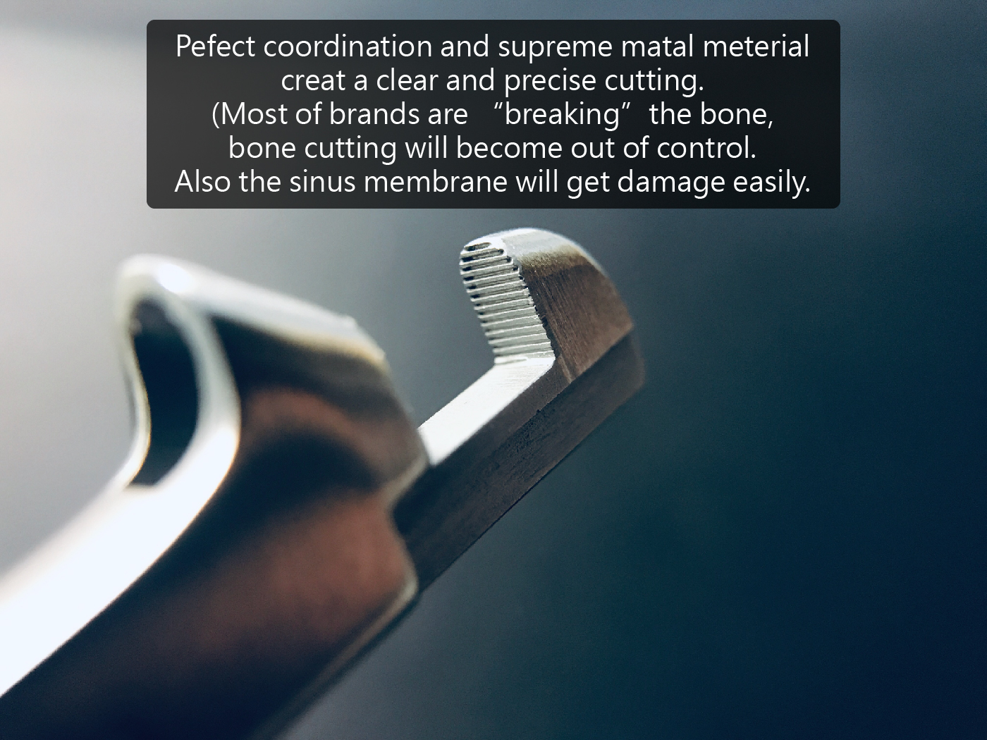 shortnose content-06.jpg