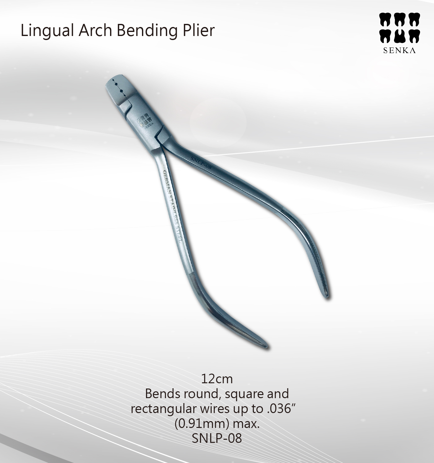 SNLP-08 整頓-04.jpg