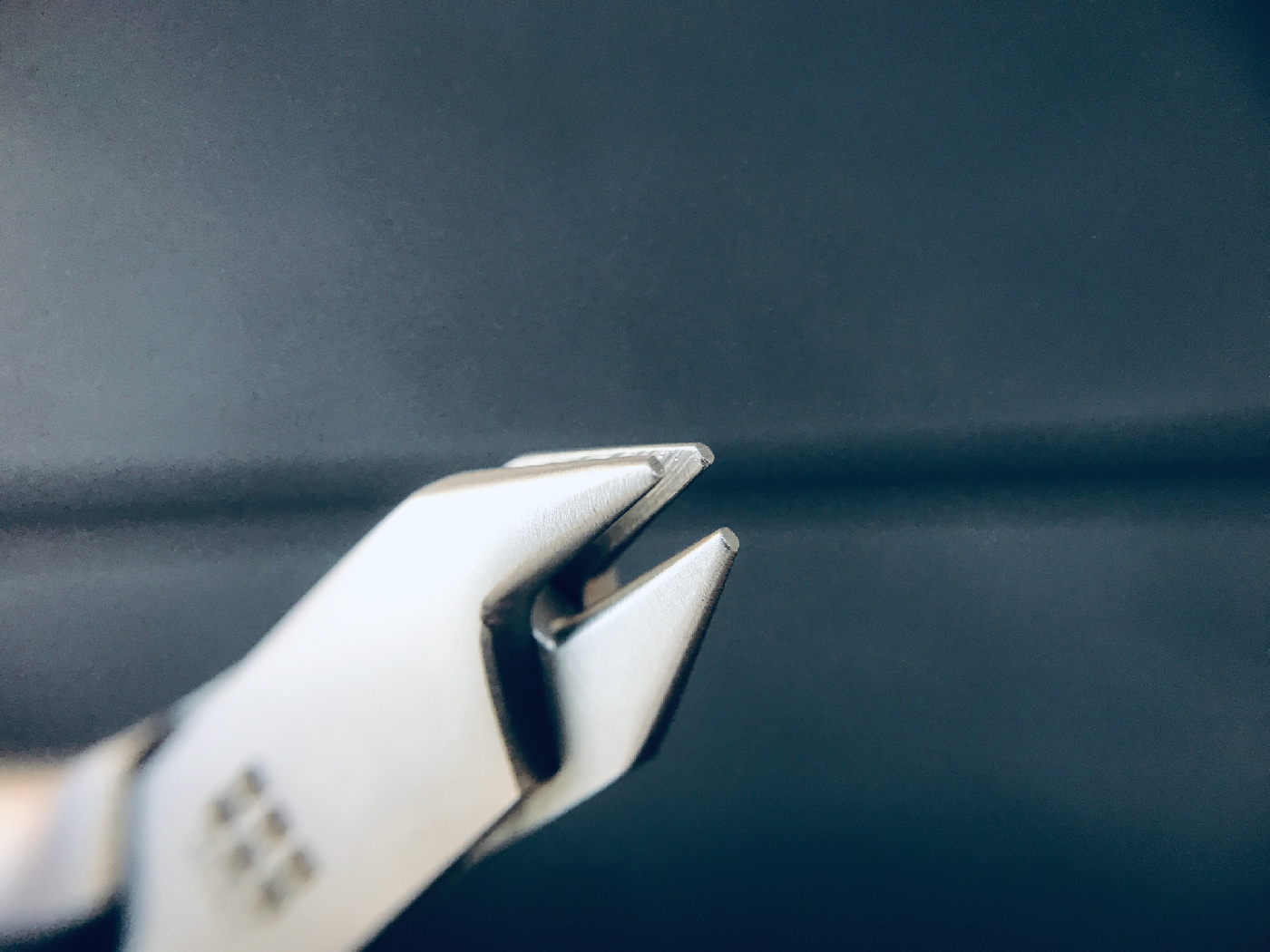 SNLP-05 整頓-03.jpg