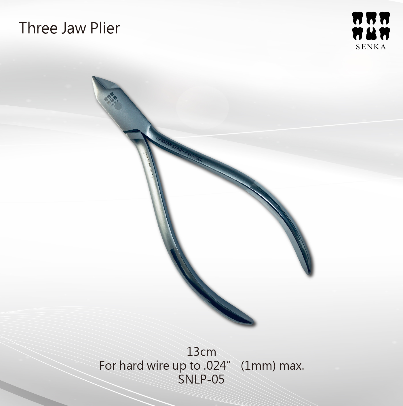 SNLP-05 整頓-04.jpg