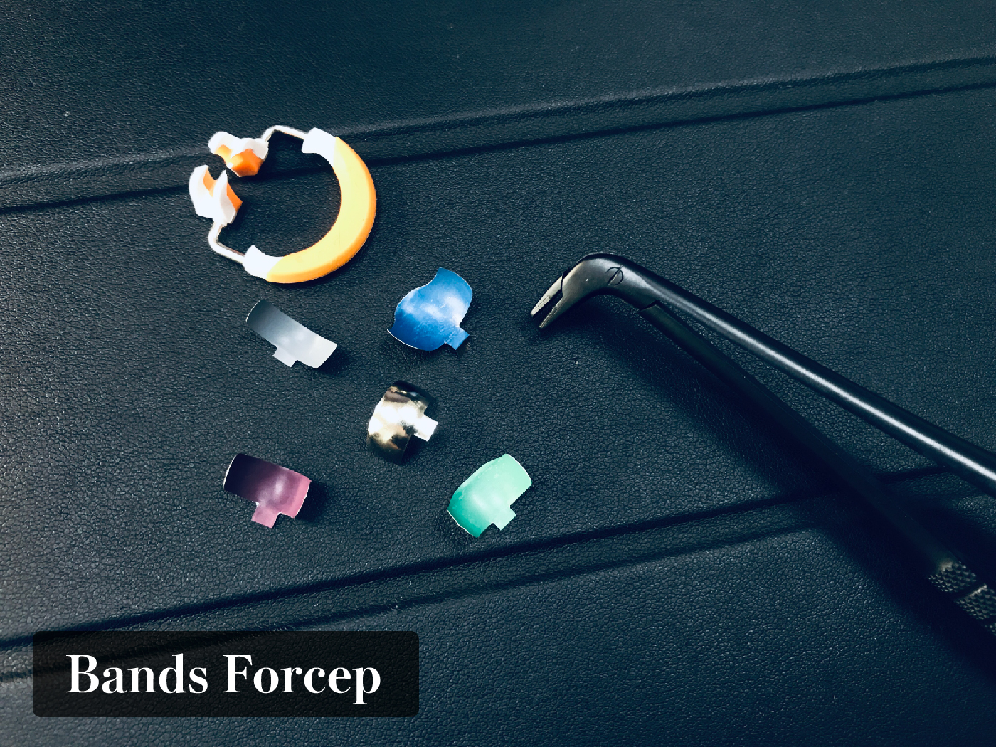 bands forcep content_工作區域 1.jpg