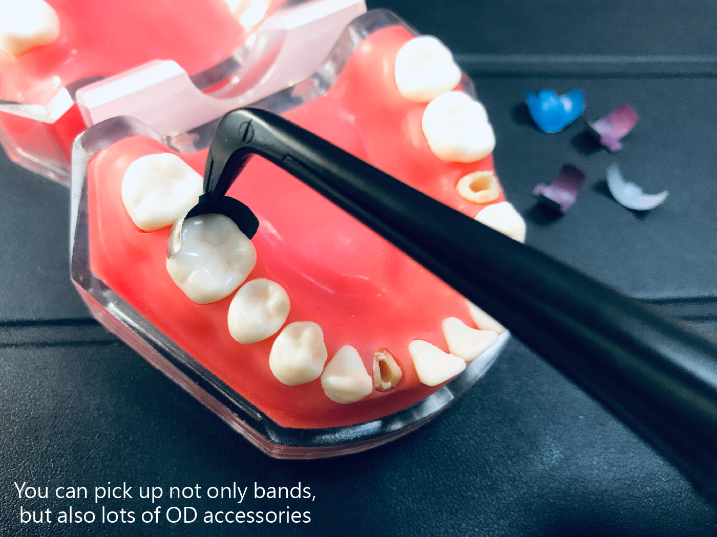 bands forcep content-04.jpg