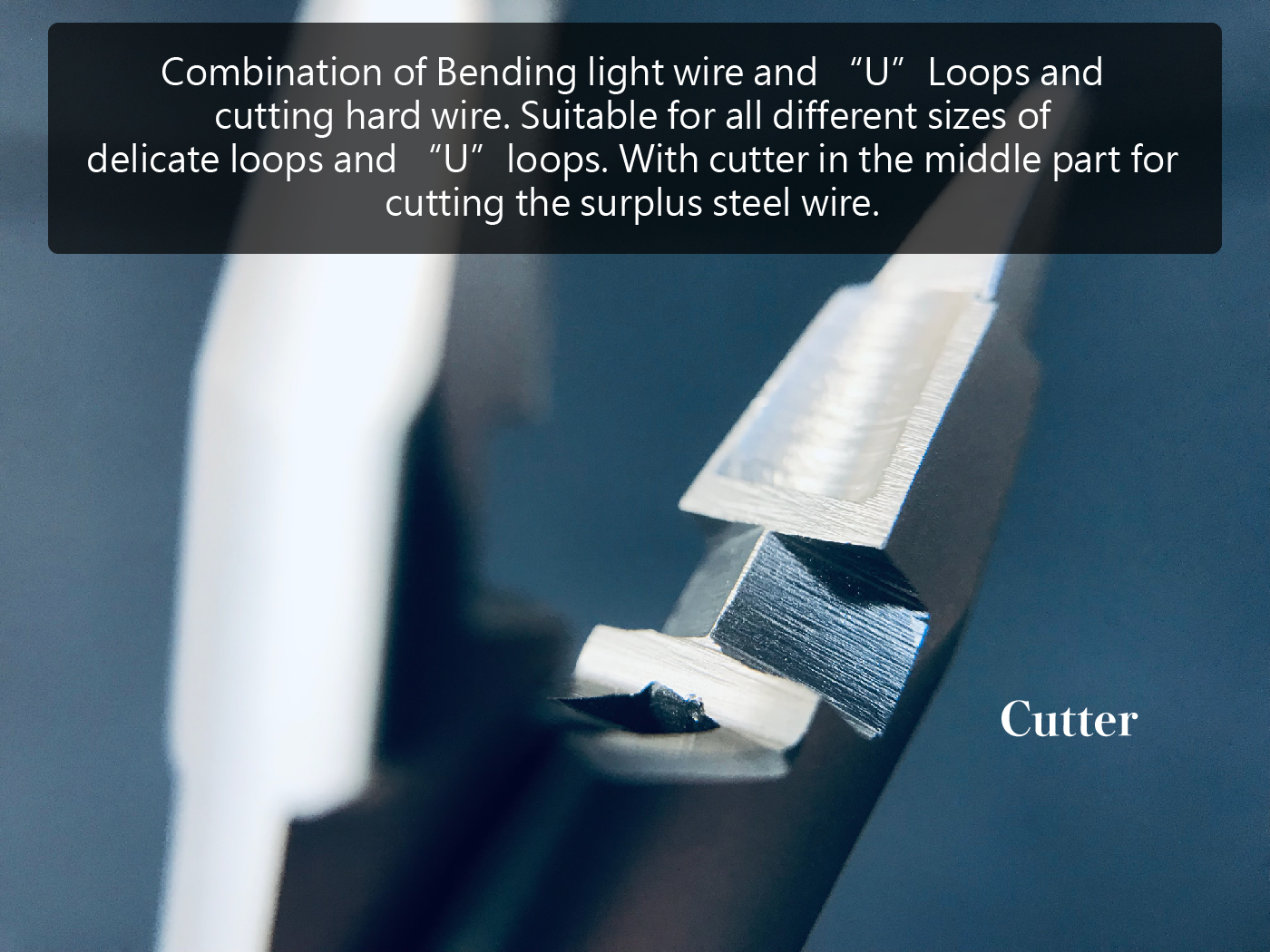 SNWB-24 整頓-02.jpg